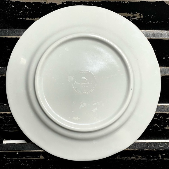 TOMMY BAHAMA Rustic Crackle 9” Melamine Dinner Plates Set of 2 - Picture 5 of 6